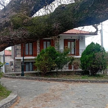 Villa Iris Mystras Exteriér fotografie