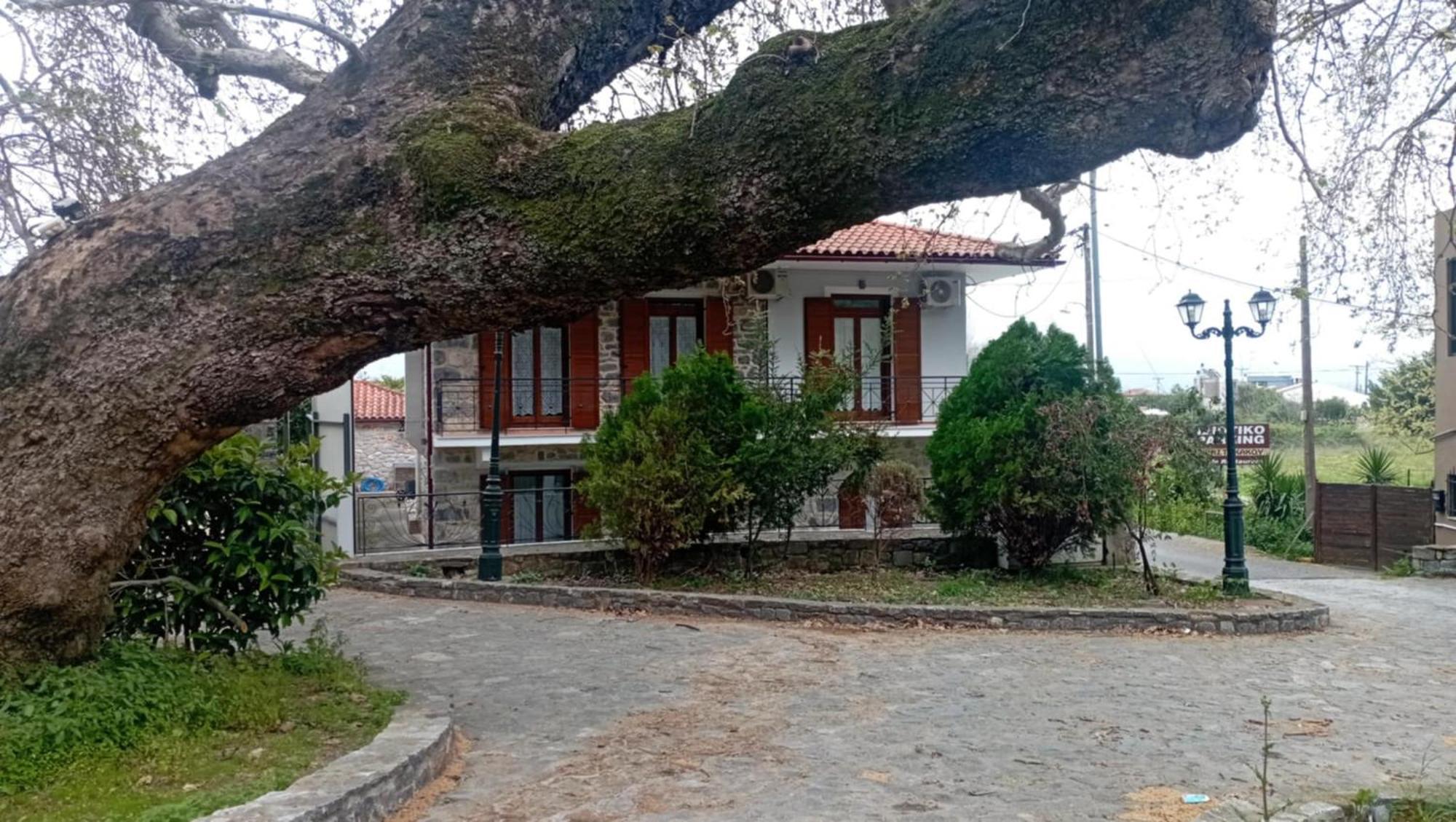 Villa Iris Mystras Exteriér fotografie
