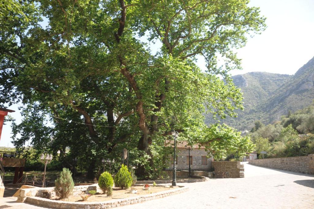Villa Iris Mystras Exteriér fotografie